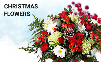 Christmas Flowers Decore