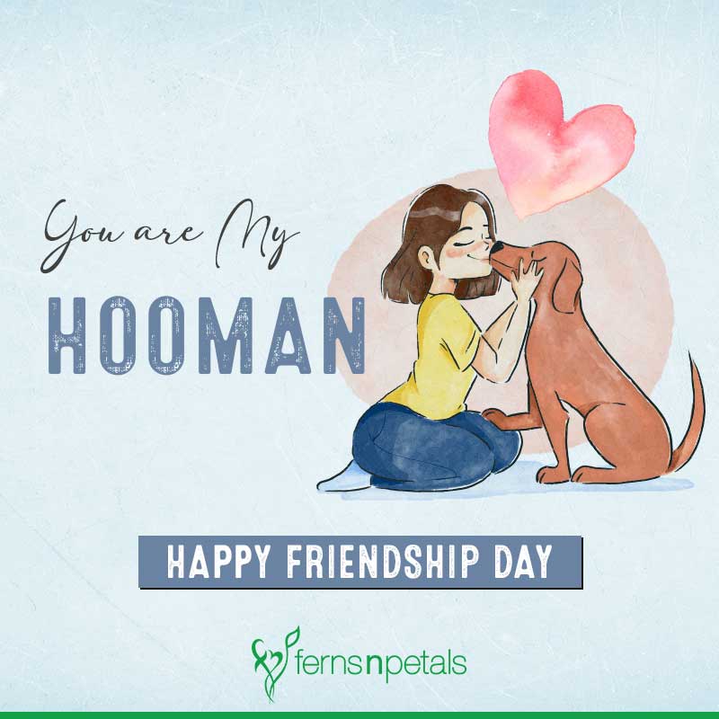 friendship day wishes