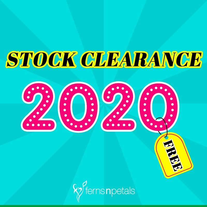 new year greeting wishes 1