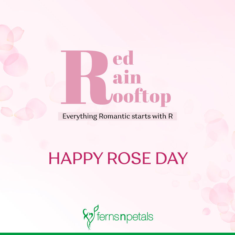 rose day quotes