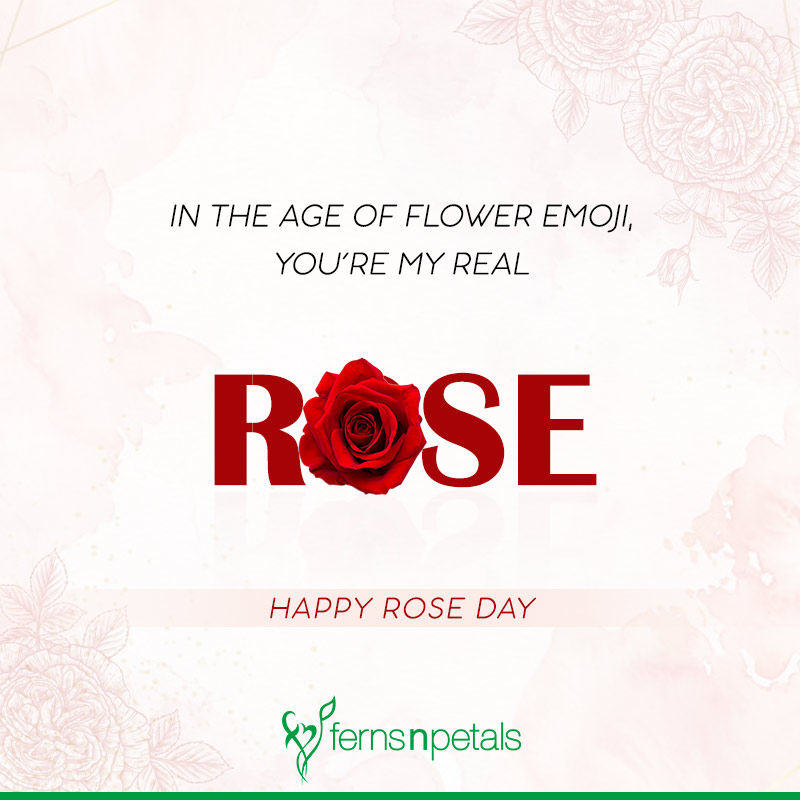 rose day wishes