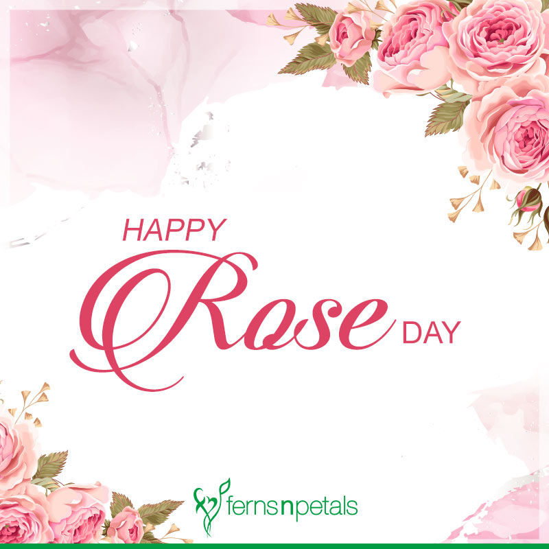 rose day unique quotes