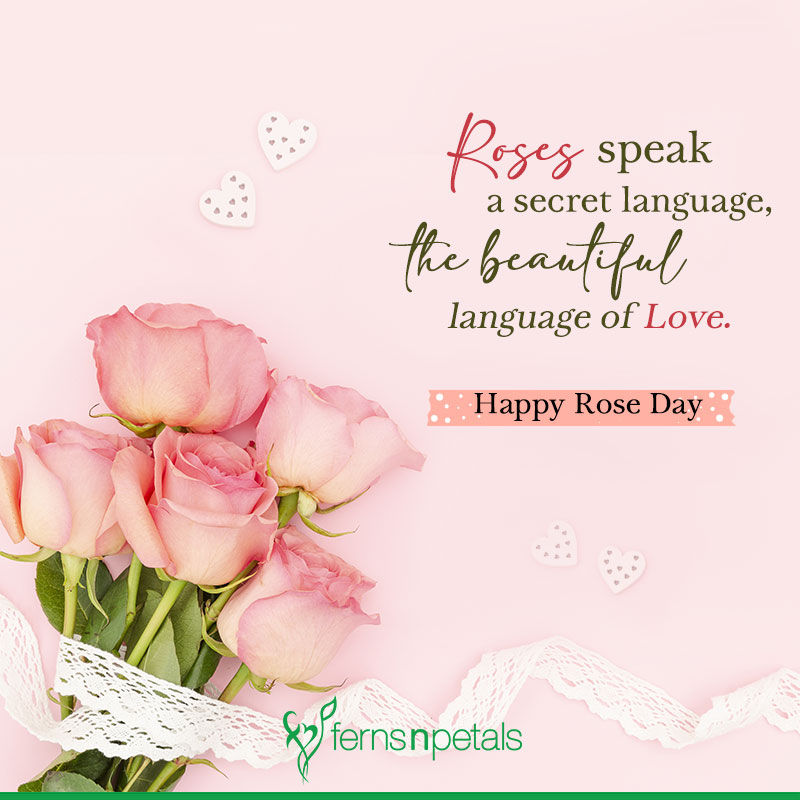 rose day quotes for my love