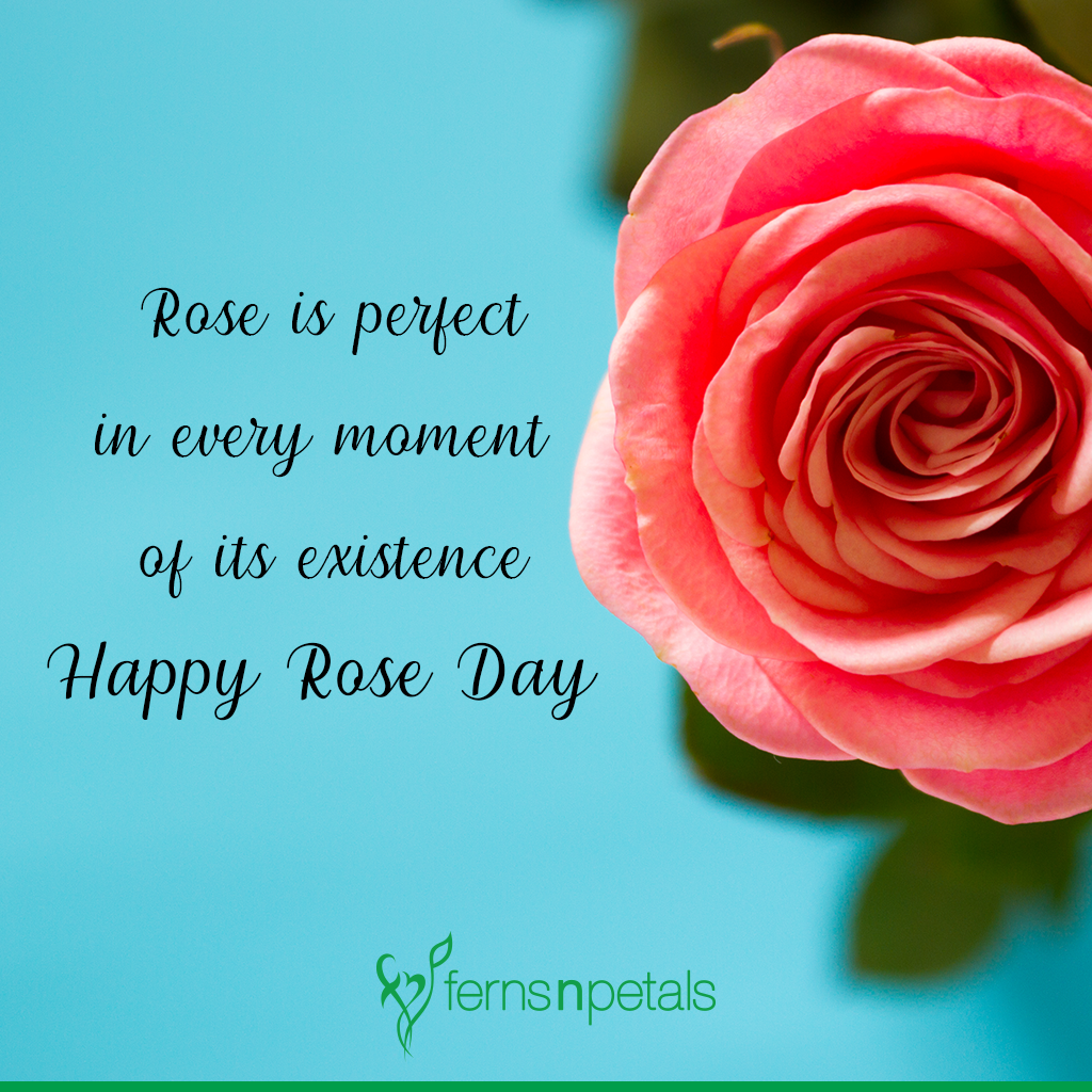 rose day sticker for her