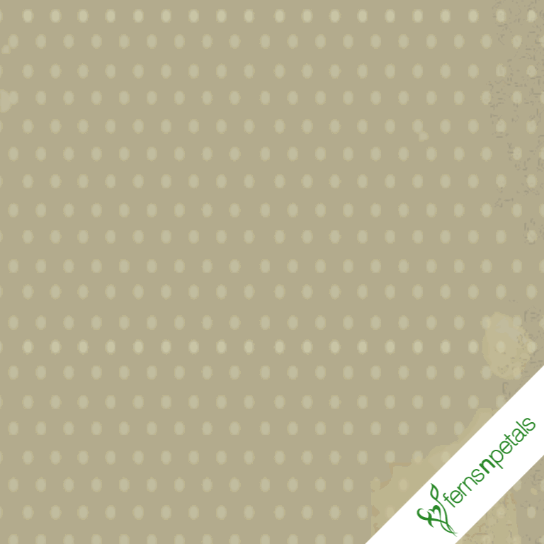 Teddy day gifs online