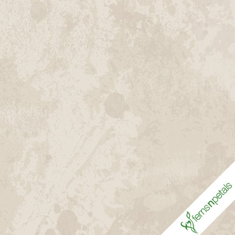 teddy day gif for him