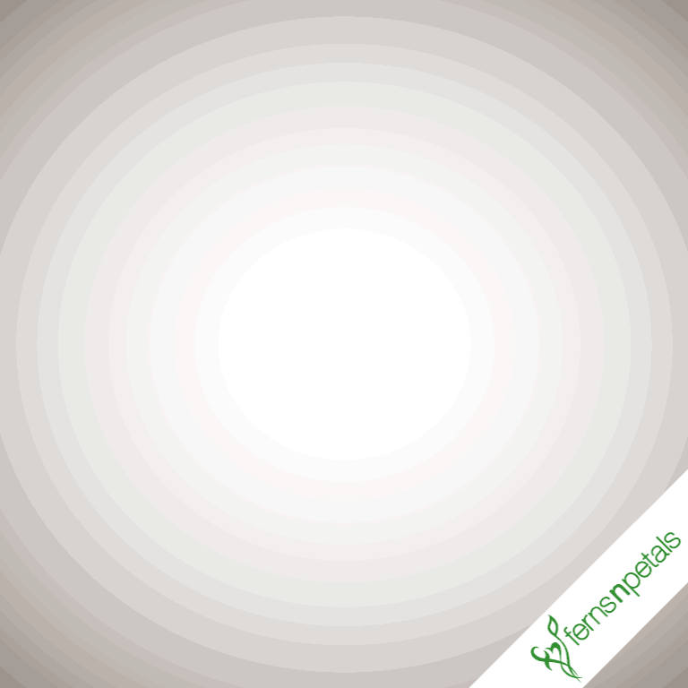 gif-for-valentines-day