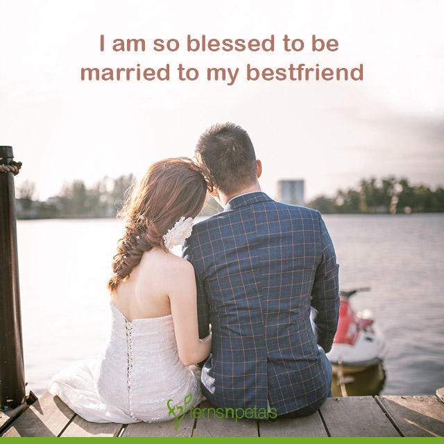 wedding anniversary wishes and greetings