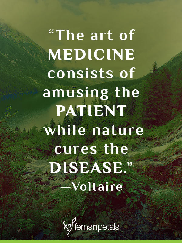 Get Well Soon wishes