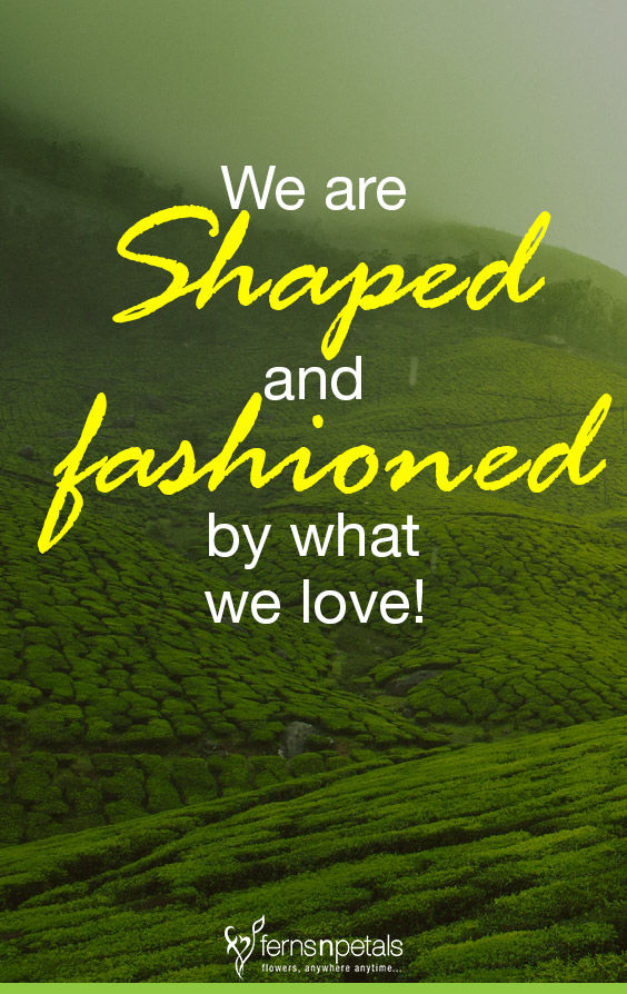 best love n romance quotes image