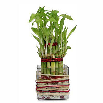 Women's Day Corporate Gifts