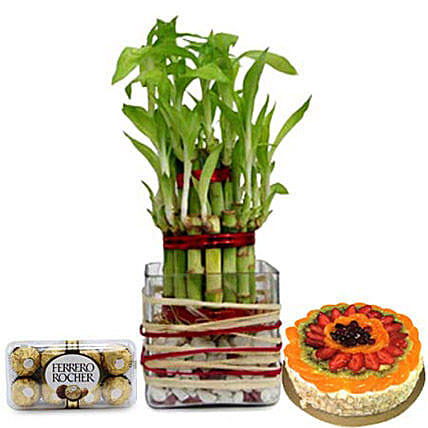 Lucky Sweet Combo: Mothers Day Plants Delivery