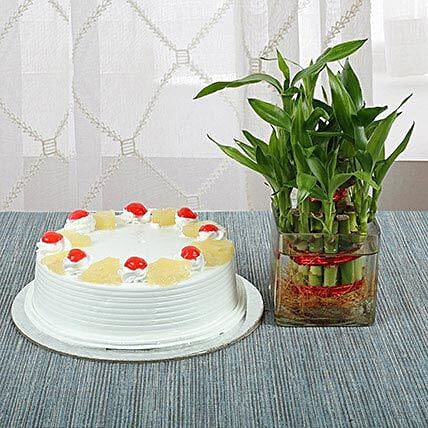 Pineapple Cake and Lucky Bamboo Combo