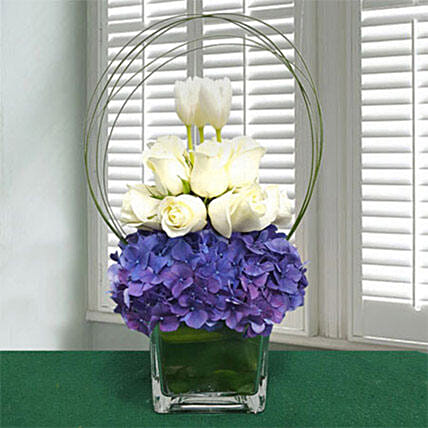 Extra Exotic Beauty: Tulip Flowers