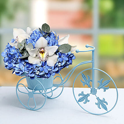 Blue N White Flowers In Cycle Basket: Flower Arrangements