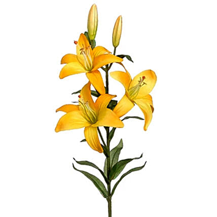 2 Stems of Artificial Yellow Stargazer Lily: Artificial Flowers