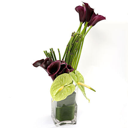 Exotic Calla Lilies and Anthurium Arrangement: 