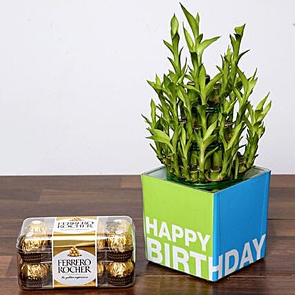 3 Layer Bamboo Plant and Chocolates For Birthday: Best Chocolate in Dubai