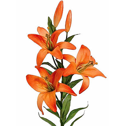 Artificial Orange Lily Stems: Artificial Flowers 