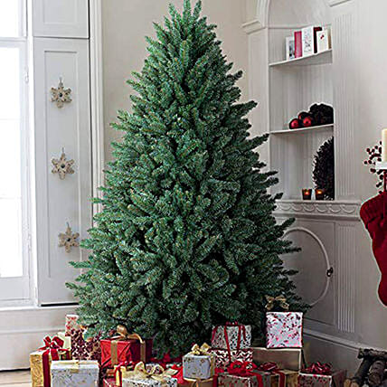 Fresh Xmas Tree: Christmas Trees