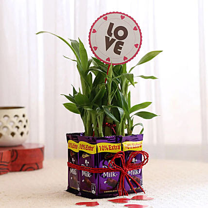 Lucky Bamboo With Love Tag Dairy Milk Combo: Karwa Chauth Gift to Wife