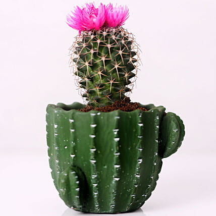 Artificial Flower Cactus in Cactus Design Pot: Desk Plants