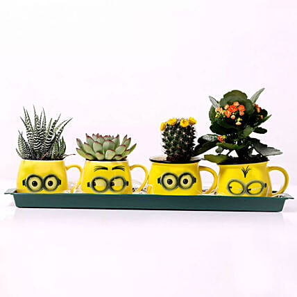 Emoticon Mugs with Plants: Flowering Plants 