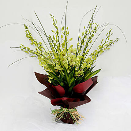 10 Green Mokara Orchids Bouquet: Orchid Flowers in Dubai