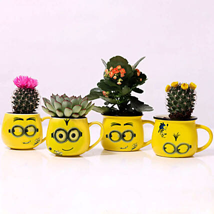 Set of 4 Plants in Emoticon Mugs: Flowering Plants 