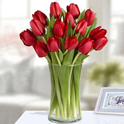 20 Red Tulip Arrangement: Gifts for Arians