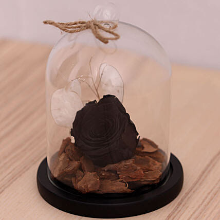 Black Forever Rose In Glass Dome: Forever Rose Dubai