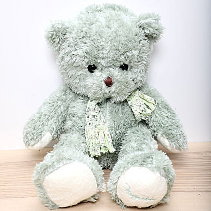 Light Green Teddy Bear: Soft Toys
