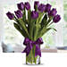 20 Purple Tulip Arrangement