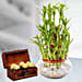 3 Layer Lucky Bamboo Plant & Ferrero Rocher