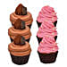 Chocolate And Strawberry Cupcakes Six