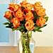 Dozen Orange Roses