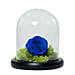 Elegant Blue Rose