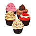 Five Mixed Flavors Cupcakes