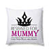 Lovely Personalized Cushion For Mom