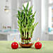 Three Layer Lucky Bamboo Plant N Candles