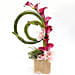 Aesthetic Calla Lilies and Cymbidium Arrangement