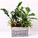 Beautiful Green Garden Basket