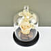 Peach Forever Rose In Glass Dome