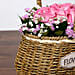 Soft Pink Roses Basket