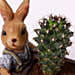 Cactus Plant in Rabbit Cart Pot