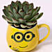 Green Echeveria Plant in Emoticon Mug