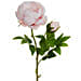 Artificial Light Pink Peonies