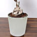 Ficus Bonsai Plant In Ceramic Pot and Chocolates