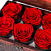 6 Red Forever Roses In Treasure Box