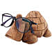 Tortoise Shaped Eyeglass Holder
